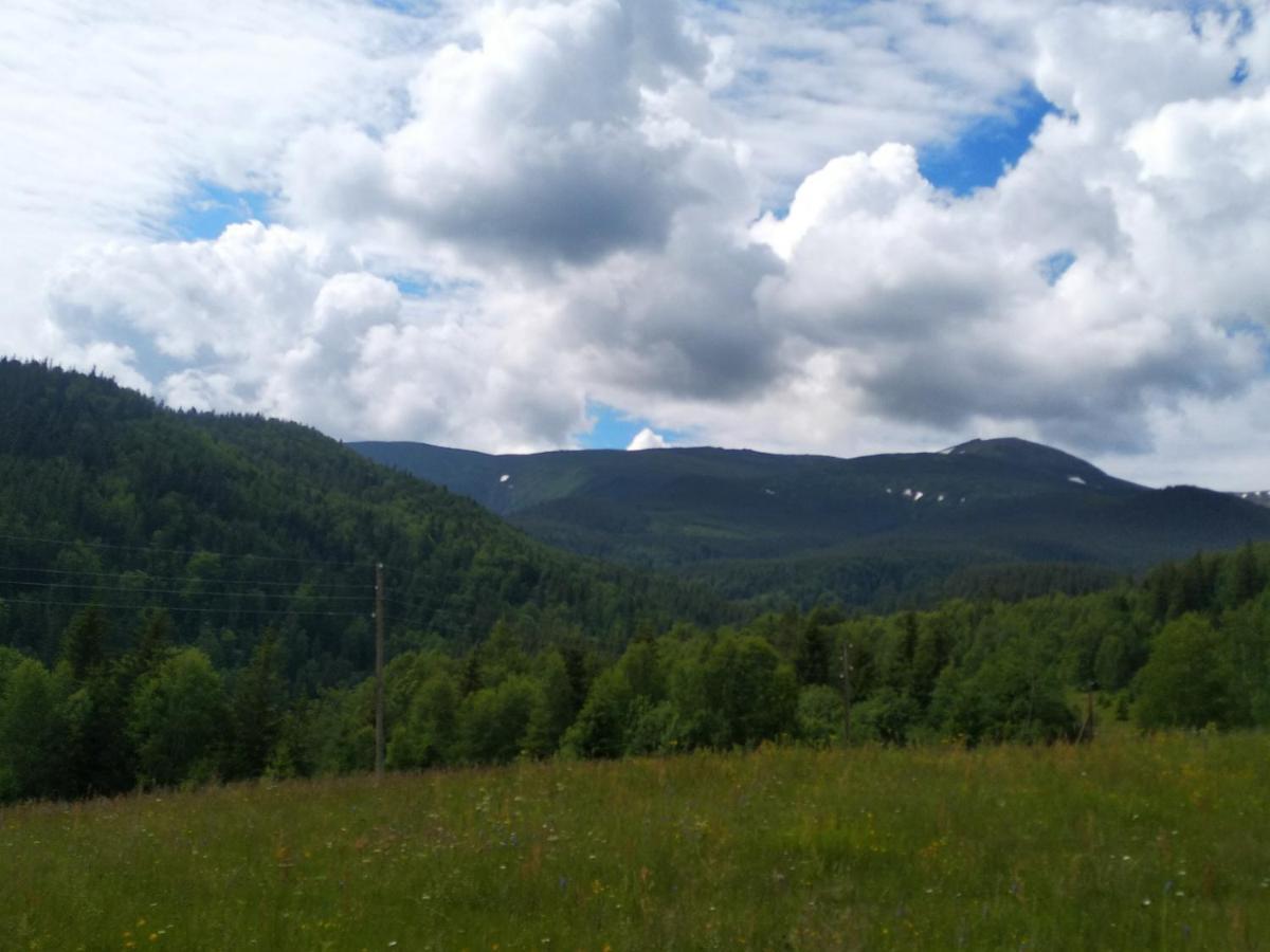 Карпатський Готель Олександрія เมอคุลิชิน ภายนอก รูปภาพ